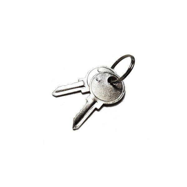 CS30 Replacement Keys – Clocking Systems